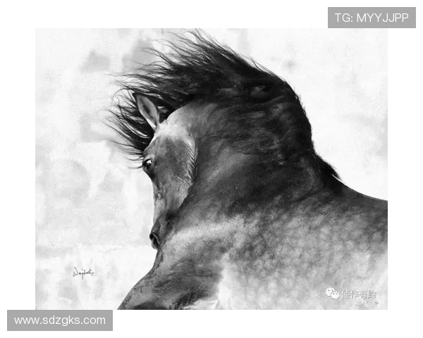 曼城发布马年水墨素描骏马球衣